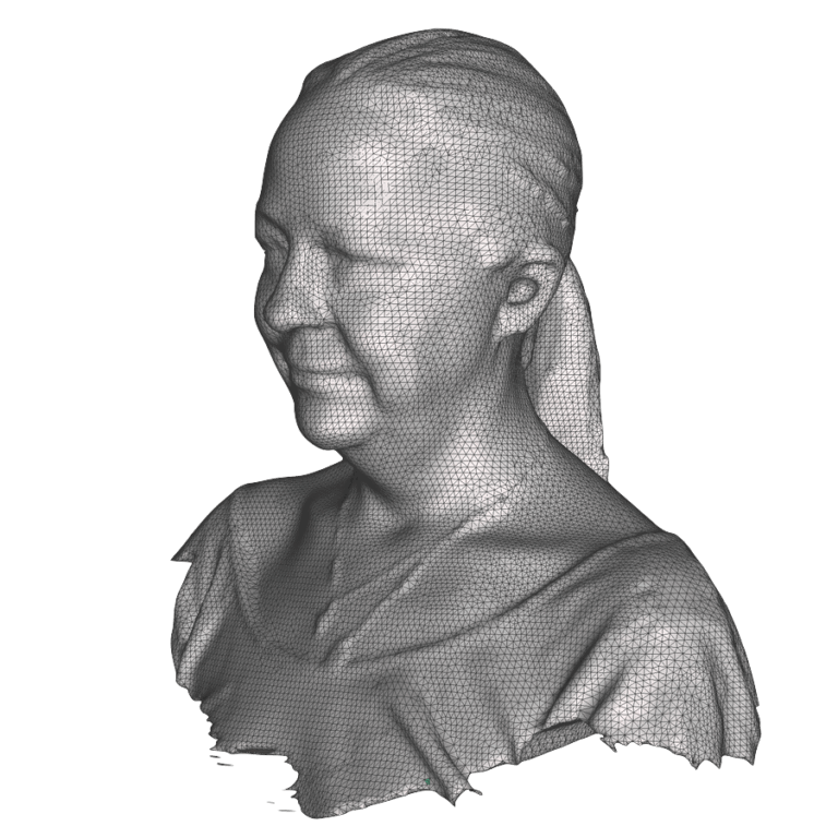 3D-Scan Kopf Mesh